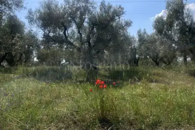 Agricolo in vendita, Strada Cassia Sud, Viterbo