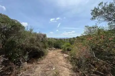 Agricolo in vendita, Telti via Monti Longu., Telti