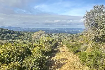 Agricolo in vendita, SANT'ANTONIO DI GALLURA , Sant'Antonio di Gallura