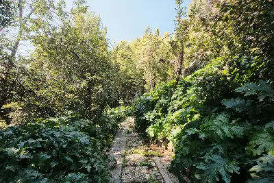 Casa Indipendente in vendita, Via Pompeo Magno , Albano Laziale