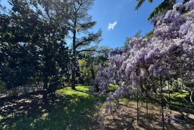 Villa in vendita, Via Carovigno, San Vito dei Normanni