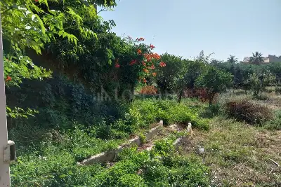 Casa Indipendente in vendita, Strada Pastore, Misiliscemi