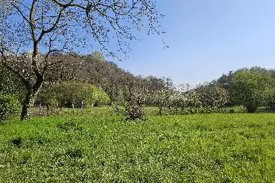 Edificabile Residenziali in vendita, Via per Senna, Capiago Intimiano