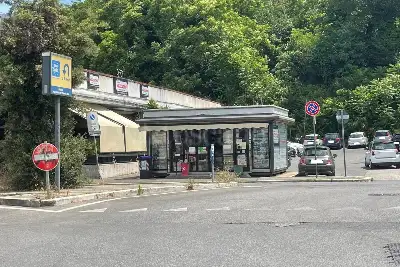 Attività Commerciale in affitto, Viale Beata Vergine Del Carmelo, Roma
