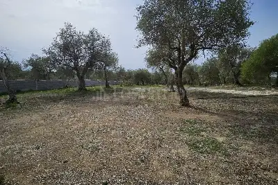 Edificabile Residenziali in vendita, Strada Vicinale Rizzeddu Gioscari 4, Sassari