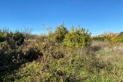 Agricolo in vendita, Via della storta, Roma