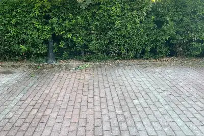 Casa in affitto, Via del Terrapieno, Bologna