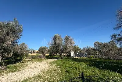 Villa in vendita, Contrada Colombo, Carovigno