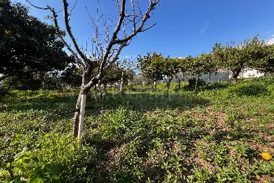 Casa Indipendente in vendita, Via Arangea, Reggio di Calabria