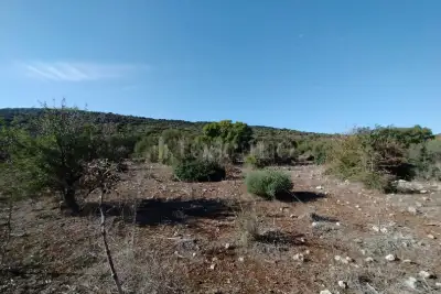 Agricolo in vendita, Noto, Noto