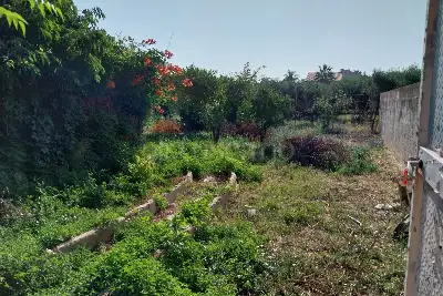 Casa Indipendente in vendita, Strada Pastore, Misiliscemi