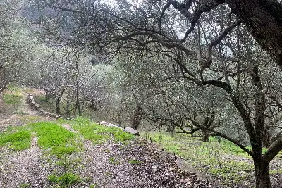 Rustico in vendita, Via Ferdinando Galiani, Catanzaro