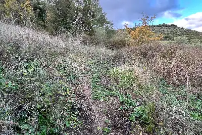 Agricolo in vendita, Via Cristoforo Colombo, Florinas