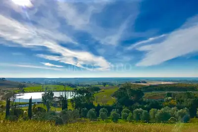 Agricolo in vendita, Via Furbara Sasso, Cerveteri