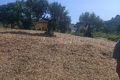 Agricolo in vendita, Via Ripoli, Spoltore