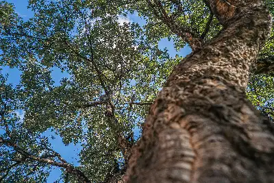 Villa in vendita, Via G. Grasso, San Gregorio di Catania