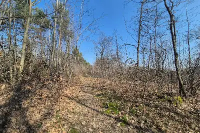 Agricolo in vendita, Via Sant'Agostino, Mariano Comense