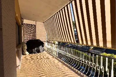 Casa in vendita, Via Lorenzo Rocci, Roma