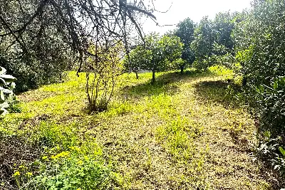 Villa in vendita, Corso Vittorio Veneto, Olbia