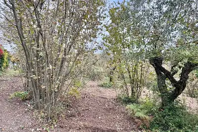 Edificabile Residenziali in vendita, Strada Provinciale 185 , Montefredane, Montefredane