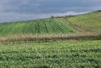 Agricolo in vendita, Trapani C/da Fittasi, Trapani