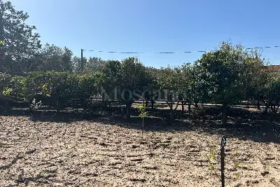 Villa in vendita, Strada Vicinale Badde Fustiggiu, Sorso