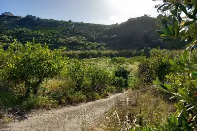 Agricolo in vendita, Comunale Eleuterio, Bagheria