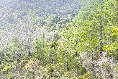 Agricolo in vendita, Loc. Caldosu, Sant'Antonio di Gallura