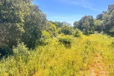 Agricolo in vendita, Telti via Monti Longu., Telti