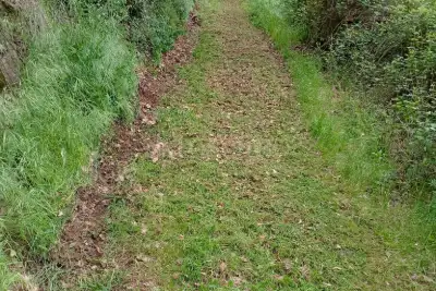 Agricolo in vendita, Strada Cassia Sud, Viterbo
