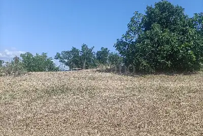 Agricolo in vendita, Via Ripoli, Spoltore