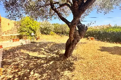 Villa in vendita, Milmeggiu, Portisco Olbia, Olbia