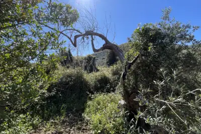 Rustico in vendita, Strada Provinciale 50, Messina