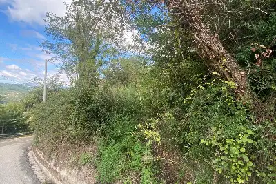 Agricolo in vendita, Via Gradoni Ortocurti, Grottolella, Grottolella