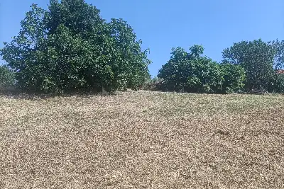 Agricolo in vendita, Via Ripoli, Spoltore