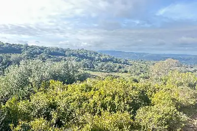 Agricolo in vendita, SANT'ANTONIO DI GALLURA , Sant'Antonio di Gallura