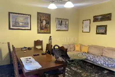 Casa in vendita, Via Agnello da Pisa, Roma