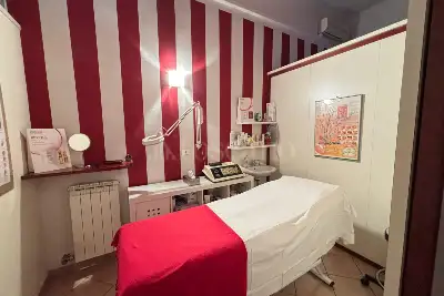 Attività Commerciale in vendita, Via M. Buonarroti, Monza