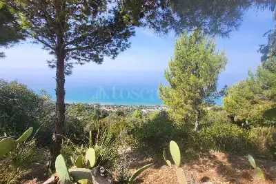 Agricolo in vendita, Località Vignole, San Mauro Cilento
