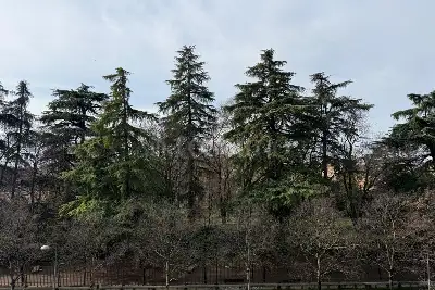 Casa in vendita, Viale Caduti in Guerra, Modena