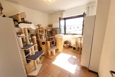 Villa Bifamiliare in vendita, Via Giulio Bas, Roma