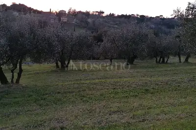 Agricolo in vendita, Strada Di Pescaia, Siena