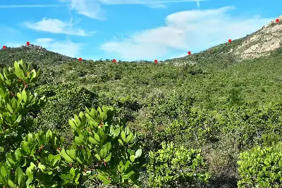 Agricolo in vendita, Berchidda, SP 138, Berchidda