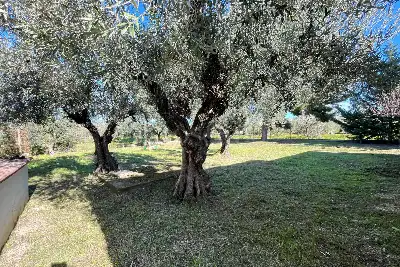 Villa Plurifamiliare in vendita, SP77, Cerignola