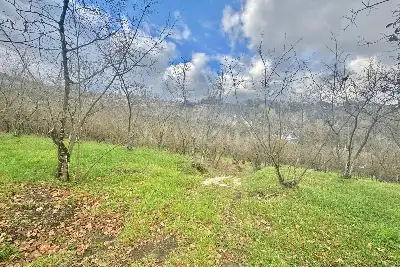 Agricolo in vendita, Via Belle Donne, Cesinali