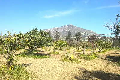 Agricolo in vendita, Via Emanuela, Erice