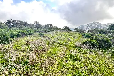 Agricolo in vendita, Loc. Caldosu, Sant'Antonio di Gallura
