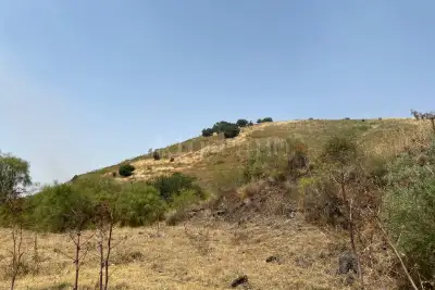 Agricolo in vendita, Via Mompilieri, Nicolosi