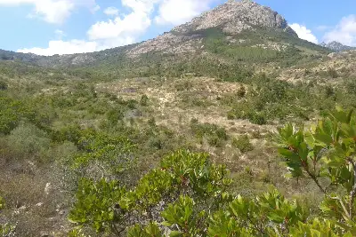 Agricolo in vendita, Berchidda, SP 138, Berchidda