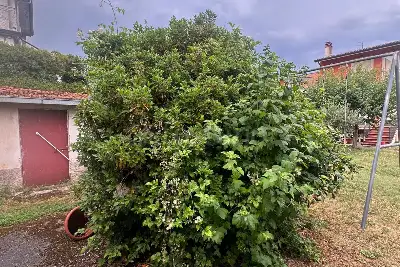 Casa Indipendente in vendita, Via San Francesco, Avezzano